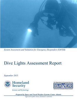 Dive Lights Assessment Report