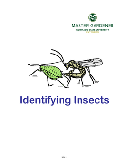 Identifying Insects