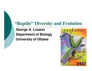 Reptile” Diversity and Evolution George A