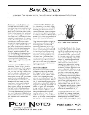 Bark Beetles Integrated Pest Management for Home Gardeners and Landscape Professionals