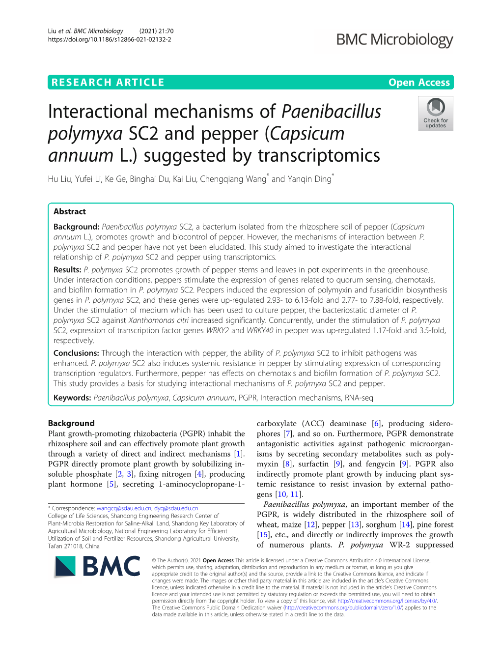 Paenibacillus Polymyxa