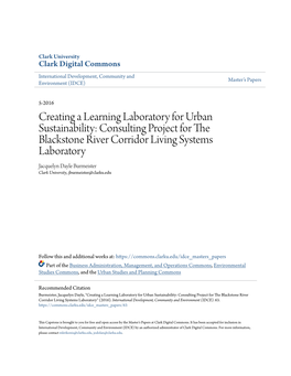 Creating a Learning Laboratory for Urban Sustainability: Consulting