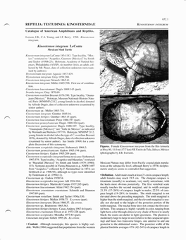 REPTILIA: TESTUDINES: KINOSTERNIDAE KINOSTERNONINTEGRUM Catalogue of American Amphibians and Reptiles