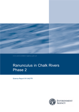 Ranunculus in Chalk Rivers Phase 2
