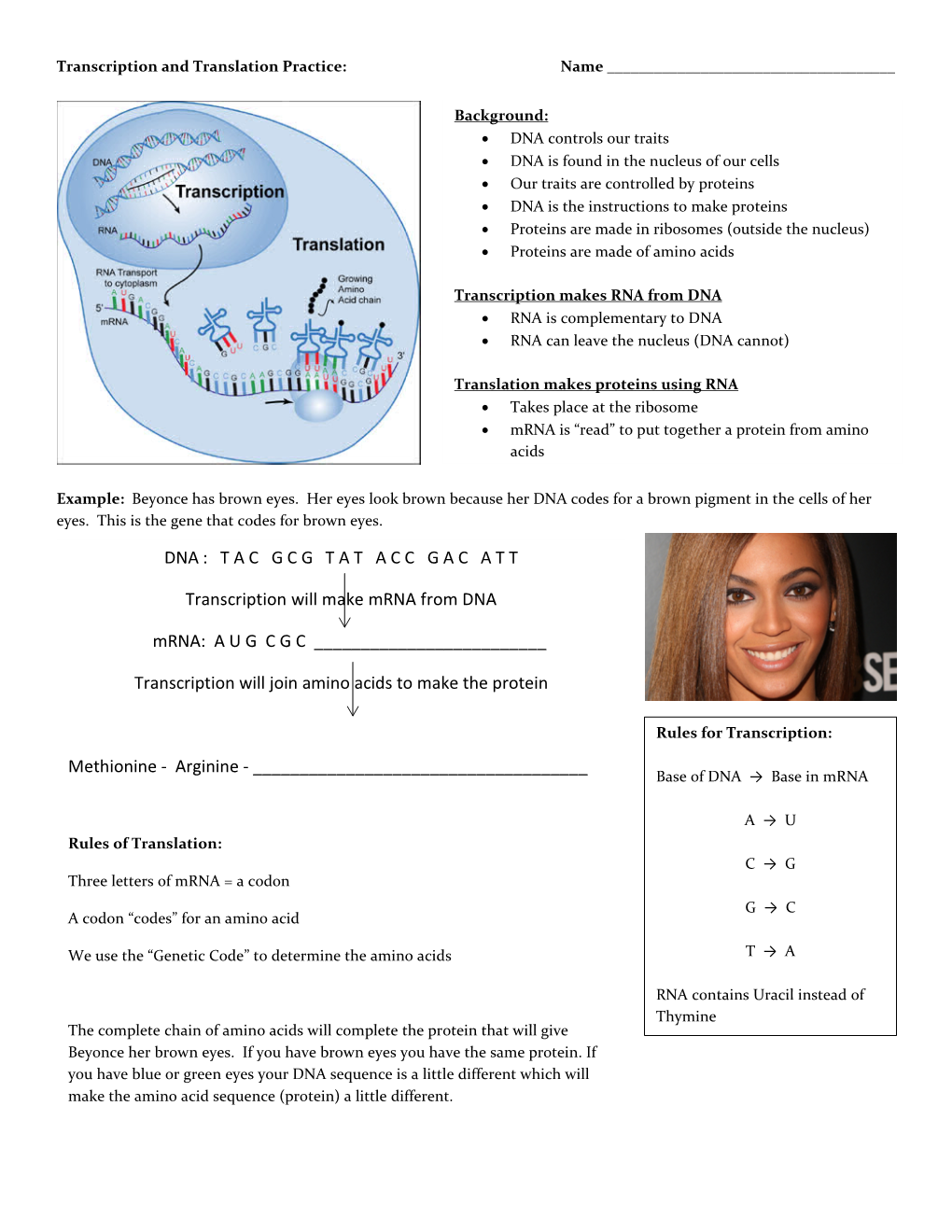 DNA : TACGCGTATACCGACATT Transcription Will Make Mrna From