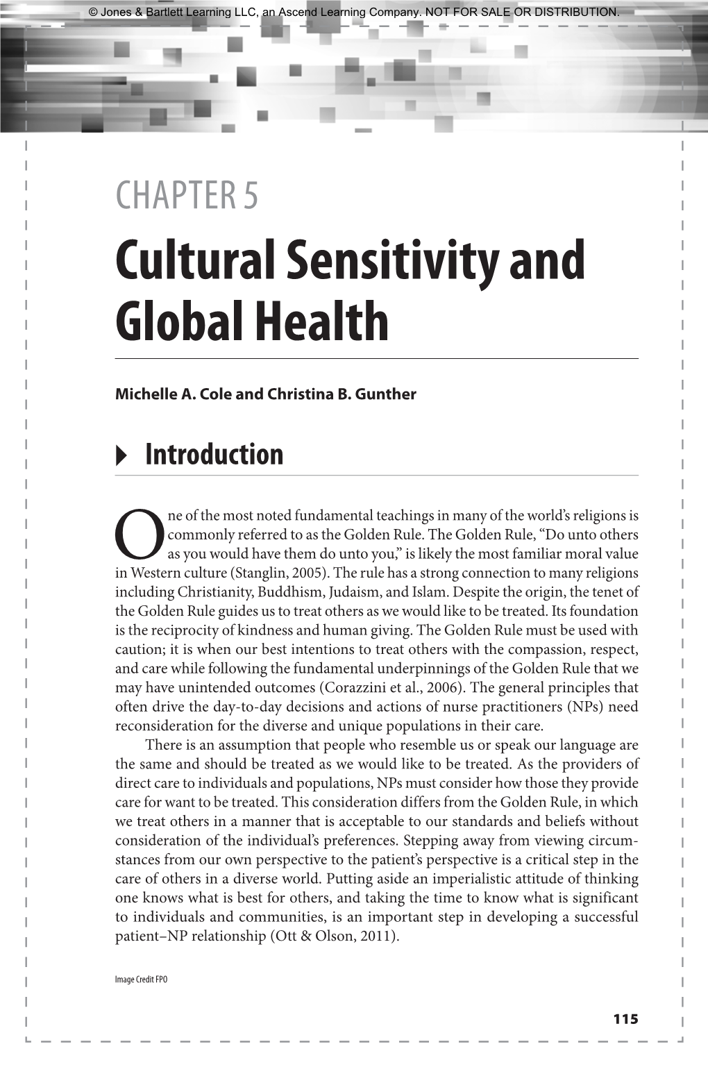 CHAPTER 5 Cultural Sensitivity and Global Health