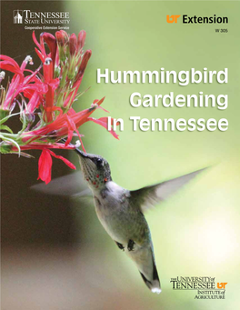 Hummingbird Gardening in Tennessee