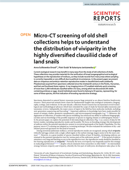 Micro-CT Screening of Old Shell Collections Helps To