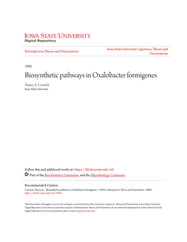 Biosynthetic Pathways in Oxalobacter Formigenes Nancy A