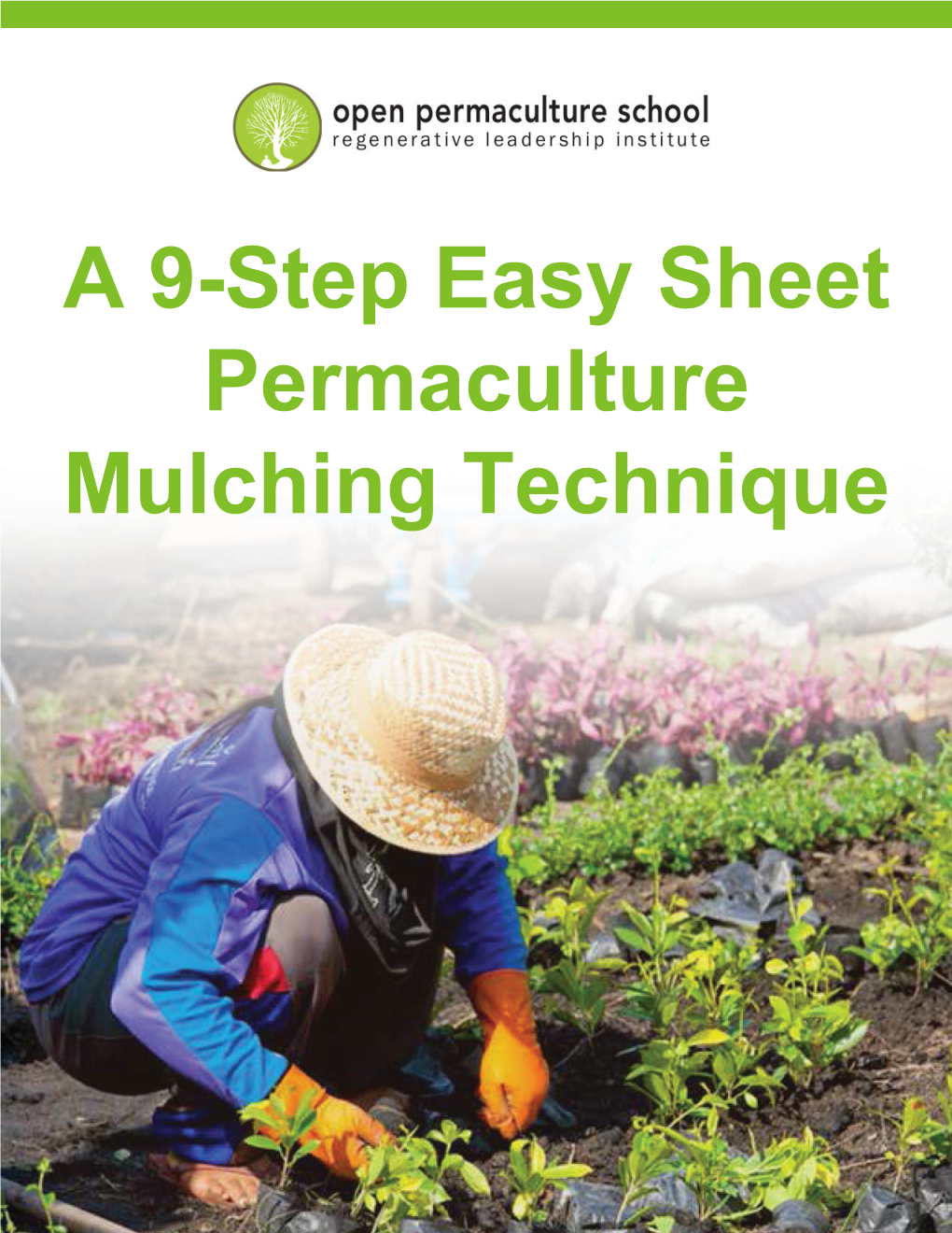 A 9-Step Easy Sheet Permaculture Mulching Technique Mulch Is Marvelous