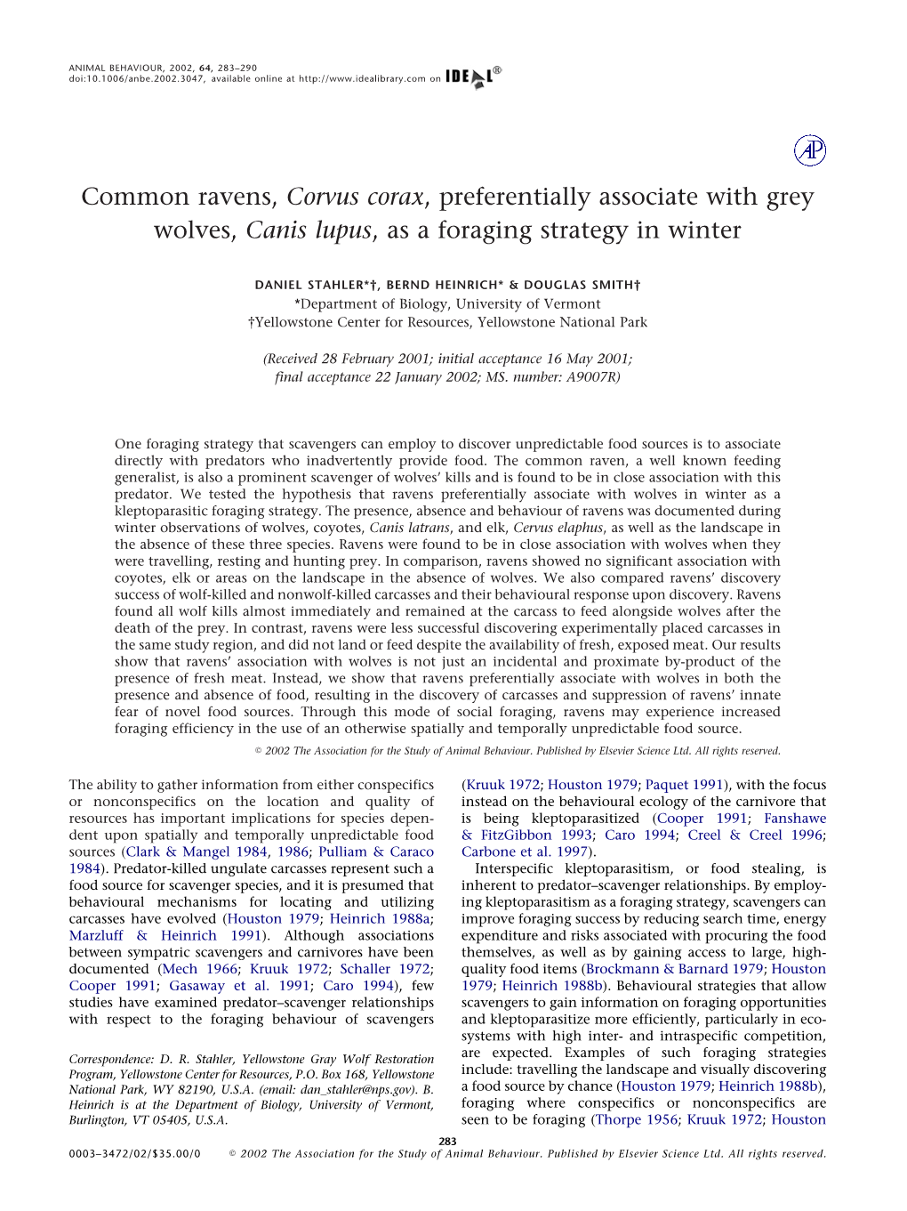 Common Ravens, Corvus Corax, Preferentially Associate with Grey Wolves, Canis Lupus, As a Foraging Strategy in Winter