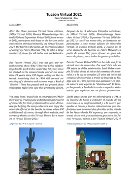 Tucson Virtual 2021 Carles Manresa I Pla1 1GRADUATE GEOLOGIST SUMMARY RESUMEN