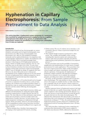 Hyphenation in Capillary Electrophoresis: from Sample Pretreatment to Data Analysis