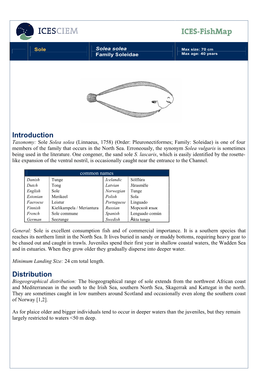 ICES Fishmap Species Factsheet-Sole