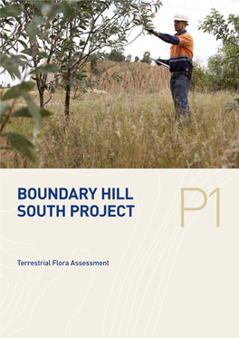 Boundary Hill South Project P1