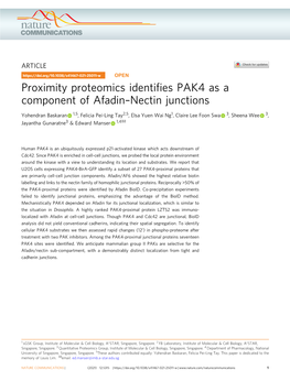 Proximity Proteomics Identifies PAK4 As a Component of Afadin–Nectin