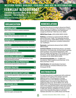 Fernleaf Biscuitroot (Lomatium Dissectum)