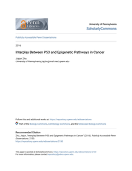 Interplay Between P53 and Epigenetic Pathways in Cancer
