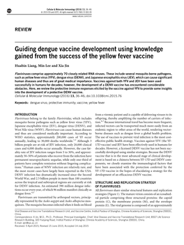 Guiding Dengue Vaccine Development Using Knowledge Gained from the Success of the Yellow Fever Vaccine