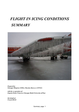 Flight in Icing Conditions