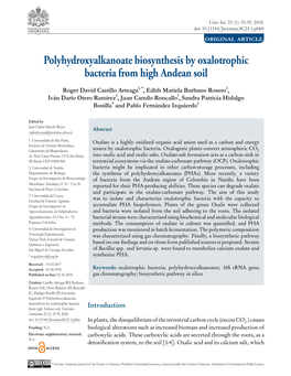 Polyhydroxyalkanoate Biosynthesis by Oxalotrophic Bacteria from High Andean Soil