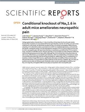 Conditional Knockout of Nav1.6 in Adult Mice Ameliorates Neuropathic Pain