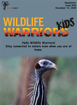 Hello Wildlife Warriors! Stay Connected to Nature Even When You Are at Home