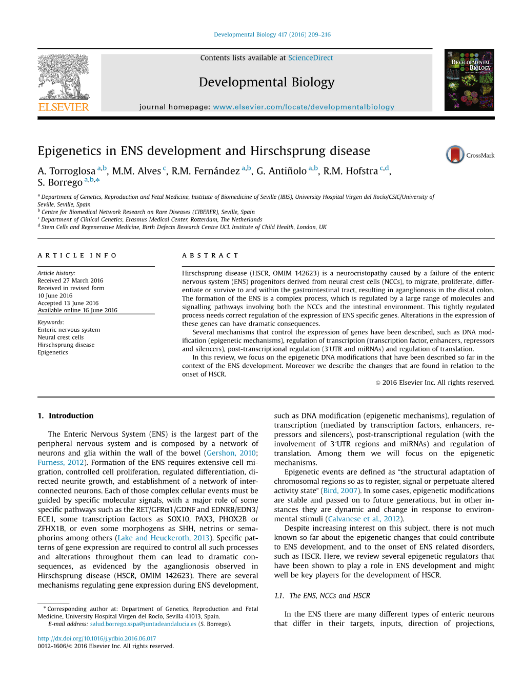Epigenetics in ENS Development and Hirschsprung Disease