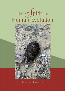 The Spirit in Human Evolution