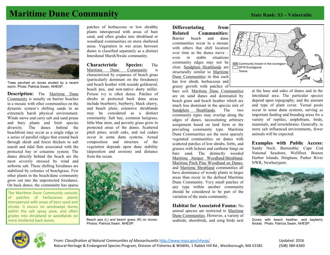 Maritime Dune Community State Rank: S3 – Vulnerable
