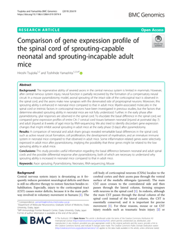 Comparison of Gene Expression Profile of the Spinal Cord Of