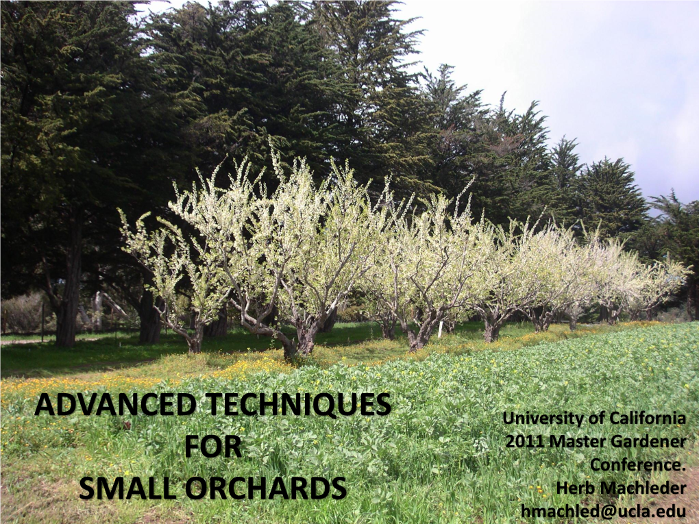 Advanced Techniques for Small Orchards