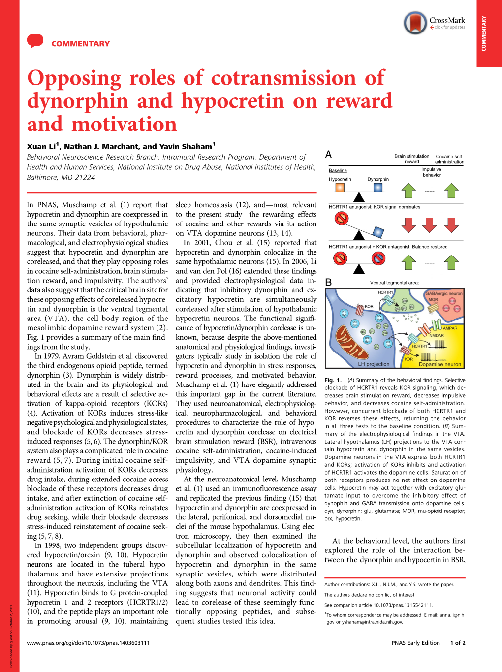 Opposing Roles of Cotransmission of Dynorphin and Hypocretin on Reward and Motivation Xuan Li1, Nathan J