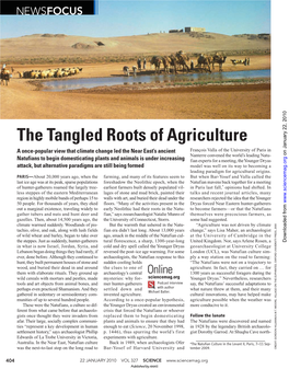 The Tangled Roots of Agriculture a Once-Popular View That Climate Change Led the Near East’S Ancient François Valla of the University of Paris In