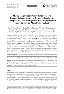 Multi-Gene Phylogenetic Evidence Suggests Dictyoarthrinium Belongs in Didymosphaeriaceae (Pleosporales, Dothideomycetes) and Dictyoarthrinium Musae Sp