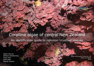 Coralline Algae of Central New Zealand: an Identification Guide to Common