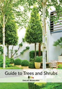 Guide to Trees and Shrubs