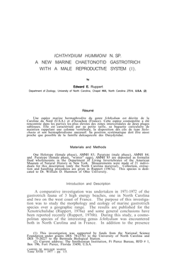 Ichthydium Hummoni N. Sp. a New Marine Chaetonotid Gastrotrich with a Male Reproductive System (I)