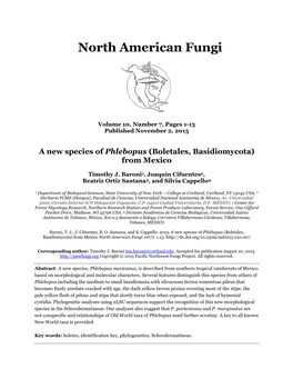 A New Species of Phlebopus (Boletales, Basidiomycota) from Mexico