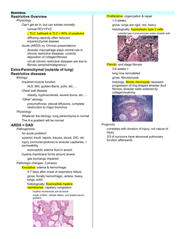 Respiratory Pathology & Pathophysiology