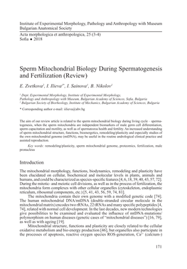 Sperm Mitochondrial Biology During Spermatogenesis and Fertilization (Review) E