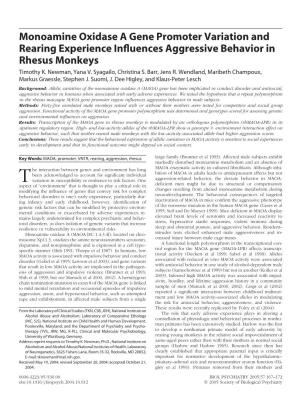 Monoamine Oxidase a Gene Promoter Variation and Rearing Experience Inﬂuences Aggressive Behavior in Rhesus Monkeys Timothy K