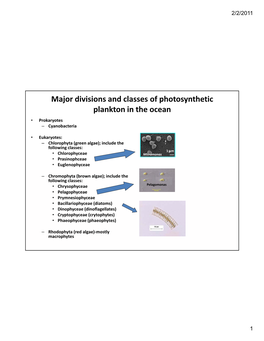 Photosynthesis and Primary Production