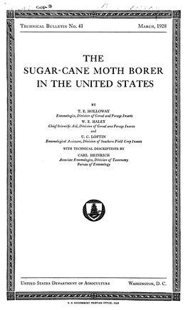 The Sugar-Cane Moth Borer in the United States