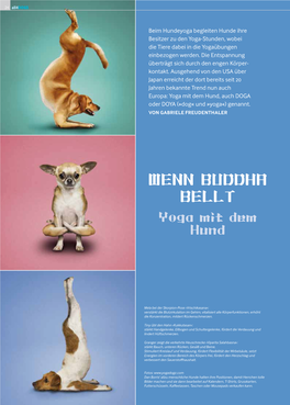 Beim Hundeyoga Begleiten Hunde Ihre Besitzer Zu Den Yoga-Stunden, Wobei Die Tiere Dabei in Die Yogaübungen Einbezogen Werden