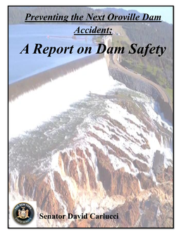 A Report on Dam Safety