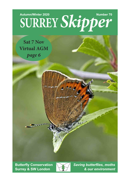 Sat 7 Nov Virtual AGM Page 6
