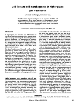 Cell Fate and Cell Morphogenesis in Higher Plants