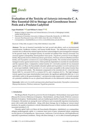 Evaluation of the Toxicity of Satureja Intermedia C. A. Mey Essential Oil to Storage and Greenhouse Insect Pests and a Predator Ladybird