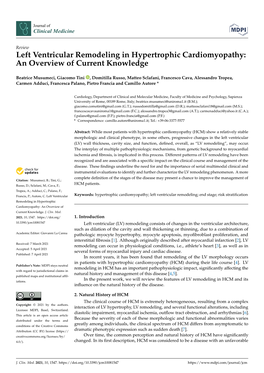 Left Ventricular Remodeling in Hypertrophic Cardiomyopathy: an Overview of Current Knowledge